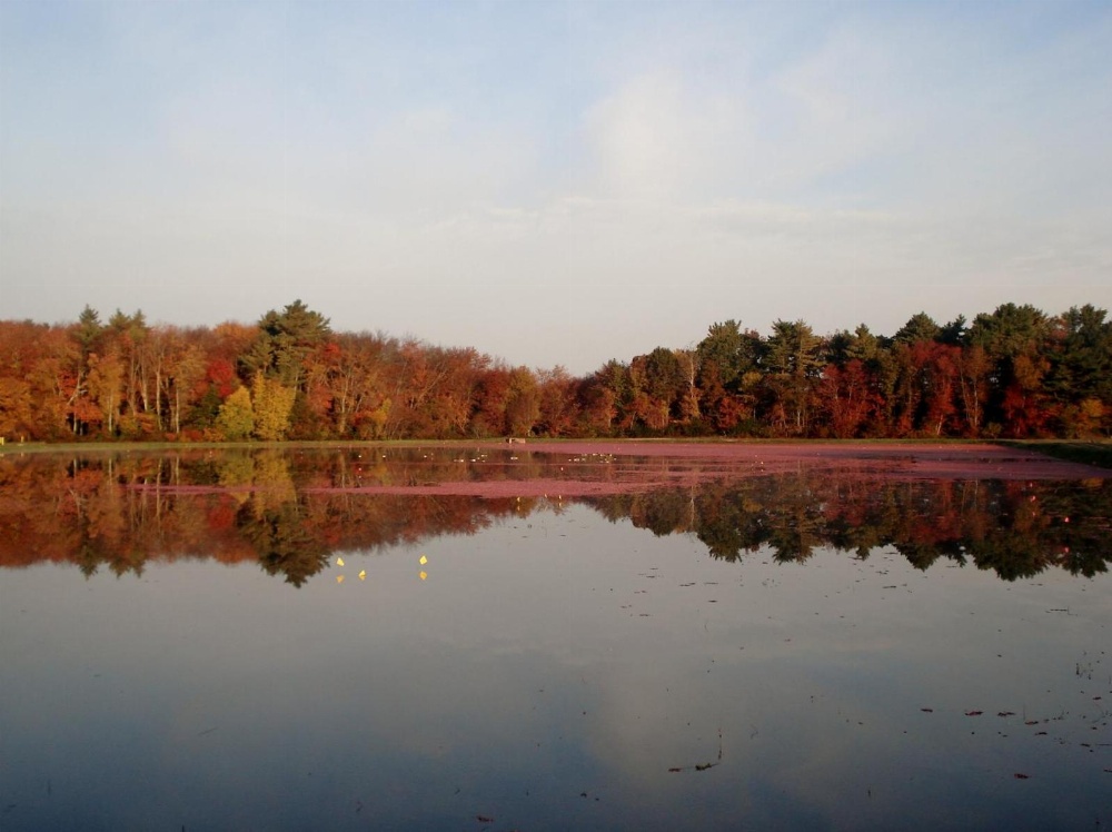 On Cranberry Pond Bed and Breakfast